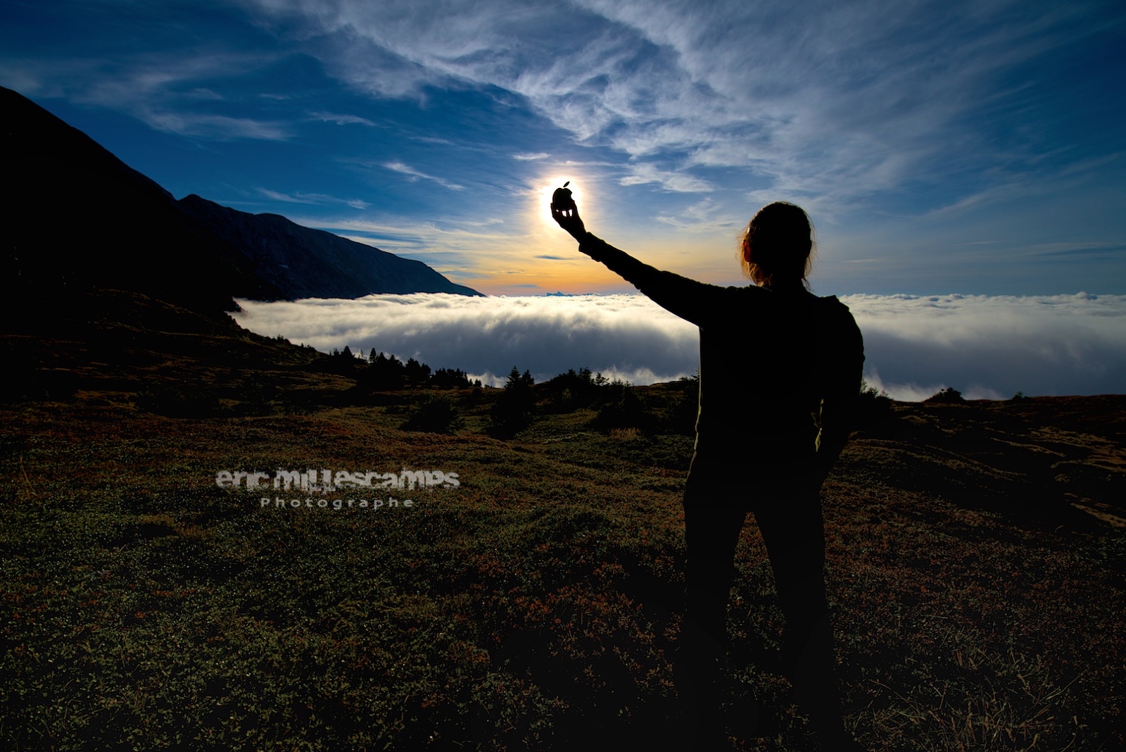 EMI 8124   Version 2